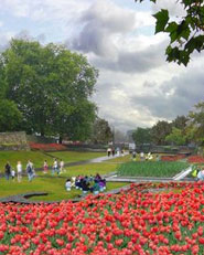Abbey Green - Barking