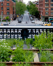 HIGH LINE, SECTION ONE