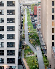 HIGH LINE, SECTION TWO