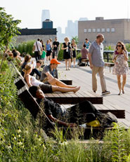 HIGH LINE, SECTION ONE