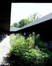 Serpentine Gallery Pavilion 2011