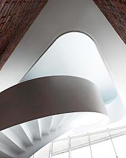 HIGH SCHOOL LEVI STRAUSS
