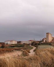 Centro di Promozione della D.O.C. “Ribera del Duero”