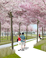 Seven Steps for Båstad – a sustainable urban strategy for Nya Hemmeslöv