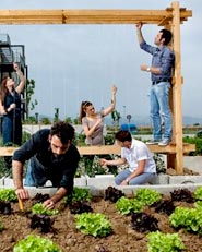 Orto in Campania