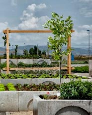 Orto in Campania