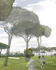 Riqualificazione e riordino urbano e dell'immagine di Punta Marina Terme