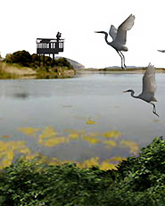 Architetture per i litorali - Litorale "Spiaggia di Maria Pia - Alghero"