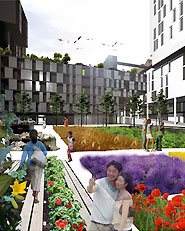 AAA architetti cercasi 2010
