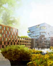 Instant Urbanism