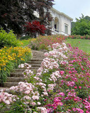 IL PARCO DEI FIORI