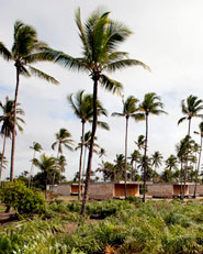 Makenna Resort