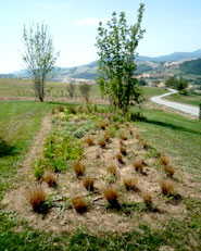 paesaggio di confine