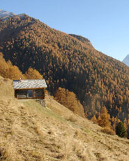 Shelter in the Swiss Alps