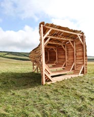 The Landscope