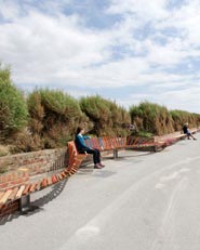 The longest bench