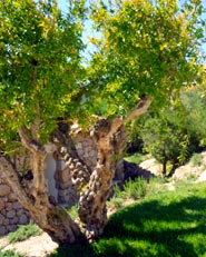 Sulla costa sarda
