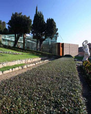 Collodi Butterfly House