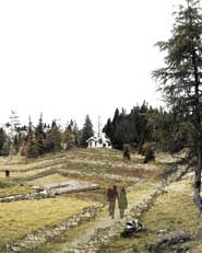 CONCORSO DI IDEE PER LA RIQUALIFICAZIONE AMBIENTALE E PAESAGGISTICA DELL'AREA DELLE SORGENTI DEL PIAVE