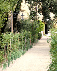 Villa Freya Stark, Parco Archeologico