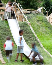 Evelyn Court Playground