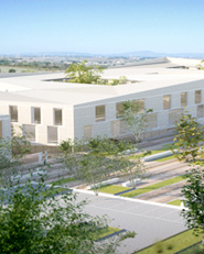 Nuovo complesso  edilizio universitario a Monserrato