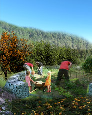 Concorso di progettazione “BI.SU.” 