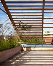 Eco-Sustainable House