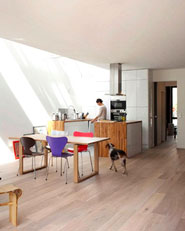 Eco-Sustainable House