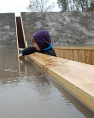 Moses Bridge