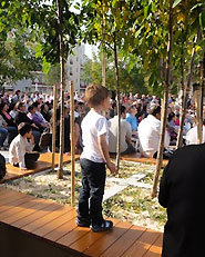 Risistemazione della Place des droits de l'homme
