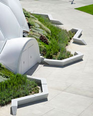 Urban redevelopment of the Plaza del Milenio
