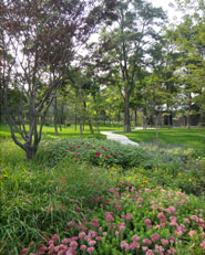 Redesign Jincheng Children park