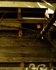 Skowhegan Shed