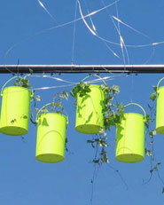 Jardin 22 “Sol de sols”