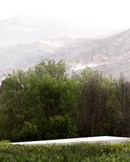 Biodiversity Centre
