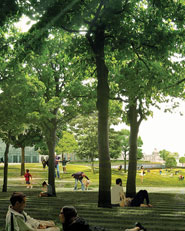 Aberdeen City Garden