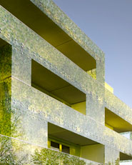 Ginkgo project
