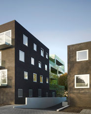 Ginkgo project