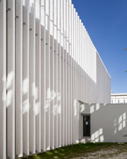 Modernisation of Sebastião da Gama School