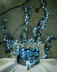 Agua potable corriendo por las calles