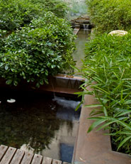 IL GIARDINO DELLE NINFEE