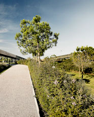 Linear park on the Riera De Sant Climent. Viladecans