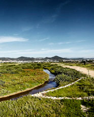  Environmental recovery of Llobregat river  Baix Llobregat