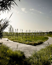  Environmental recovery of Llobregat river  Baix Llobregat