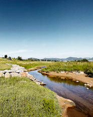  Environmental recovery of Llobregat river  Baix Llobregat