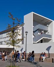 Escola Secundária Rodrigues Lobo