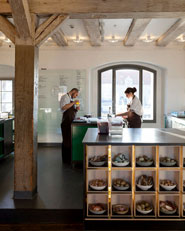 NOMA Lab