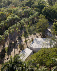 Jardìn Botànico Culiacán