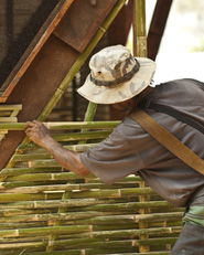 Soe Ker Tie House